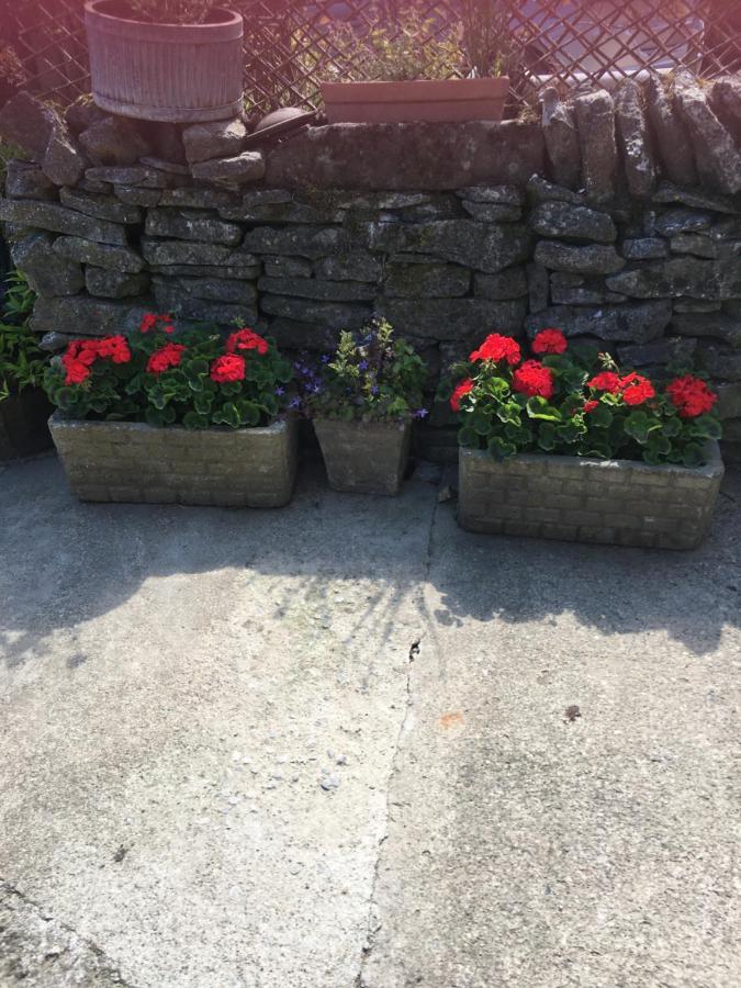 مبيت وإفطار يورك Oscar Park Farm المظهر الخارجي الصورة
